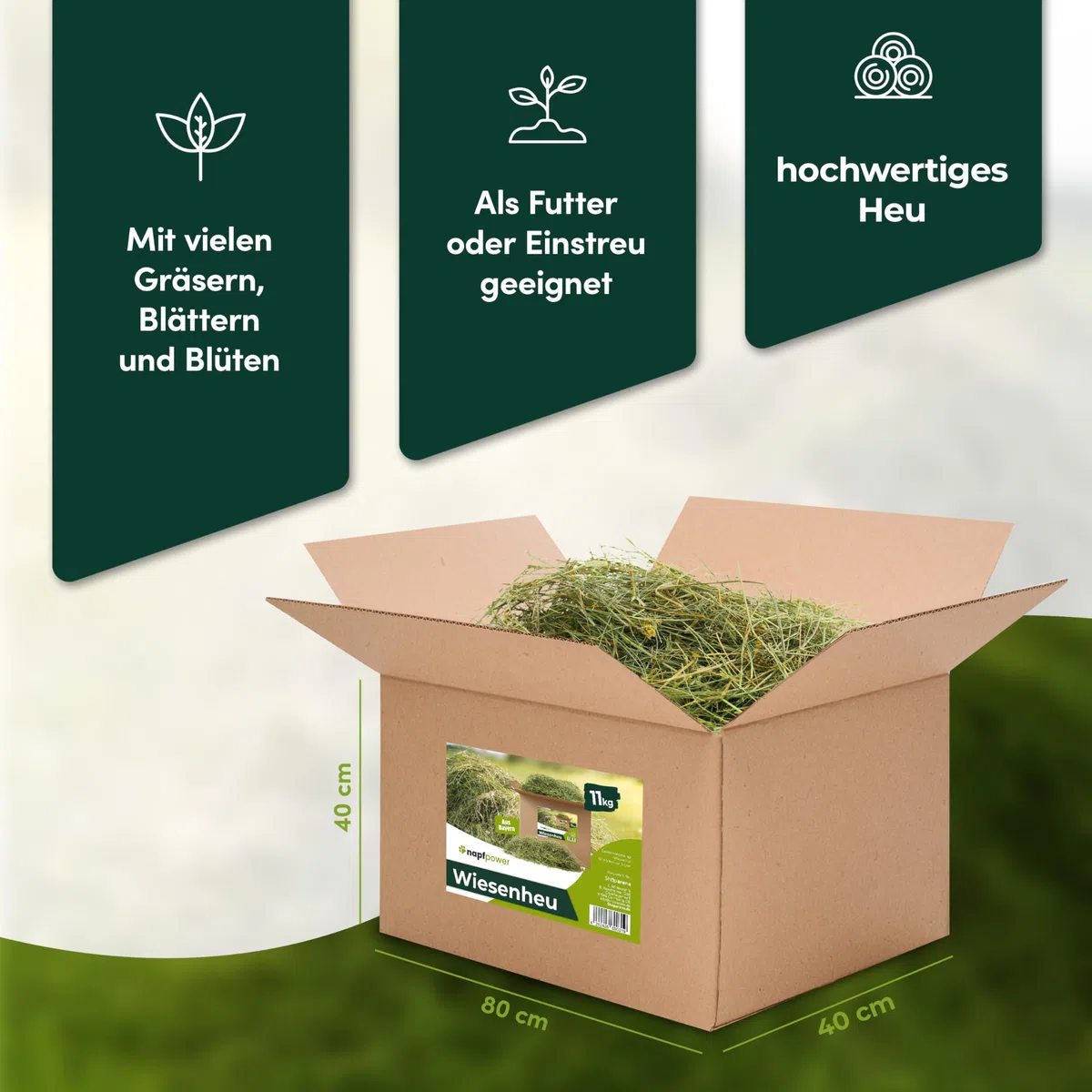 5 kg Heu direkt vom Hof | 1. Schnitt Wiesenheu aus Bayern | hochwertiges & unbehandeltes Heu für Futter & Einstreu von Kaninchen, Hamster, Meerschweinchen & Hasen