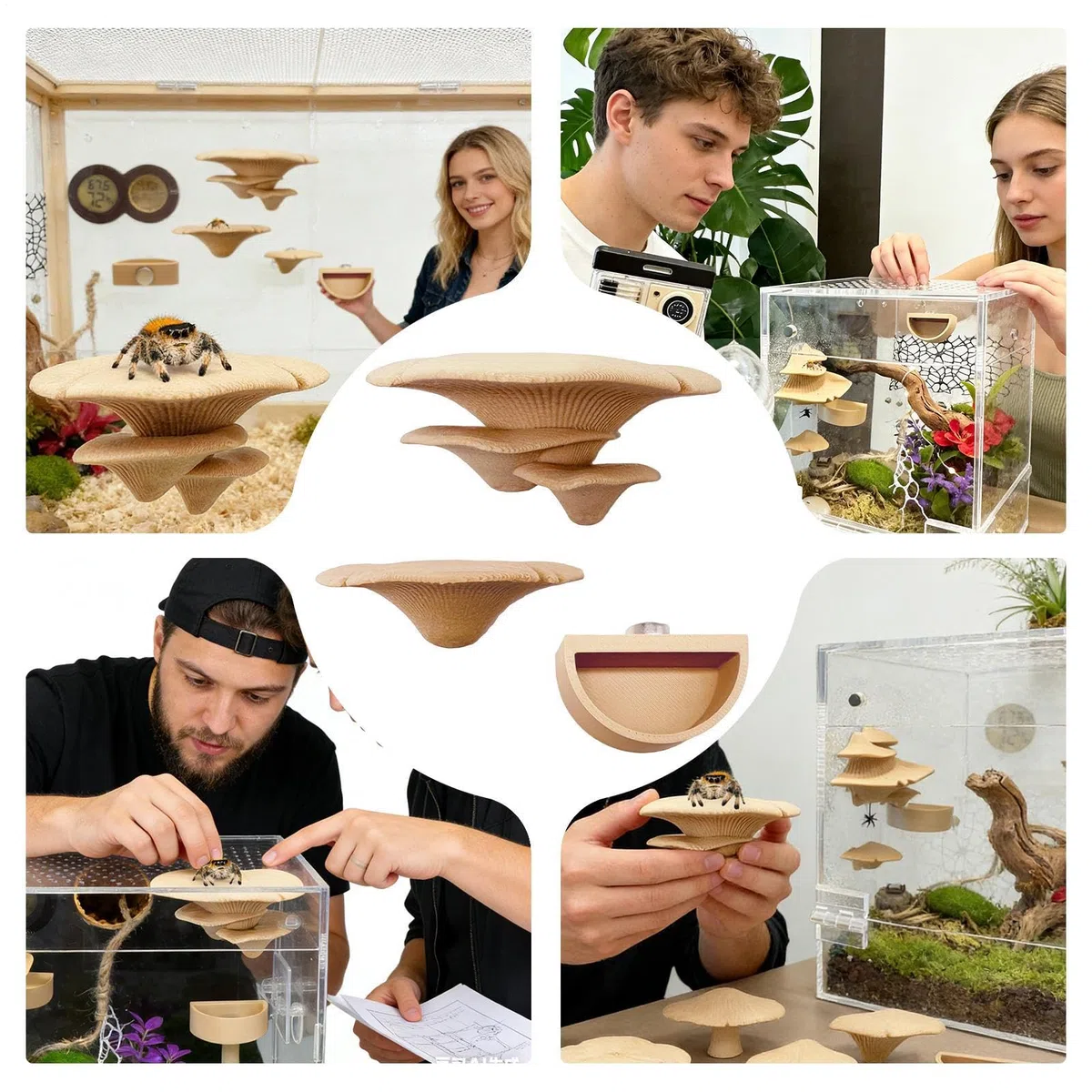 Springspinnen Terrarium Deko,Magnetisches Natürliches Pilz Spielzeug Mit Wassernapf,Springspinne Terrarium Zubehör - für Unterwegs Reisen Spaziergang Garten Park