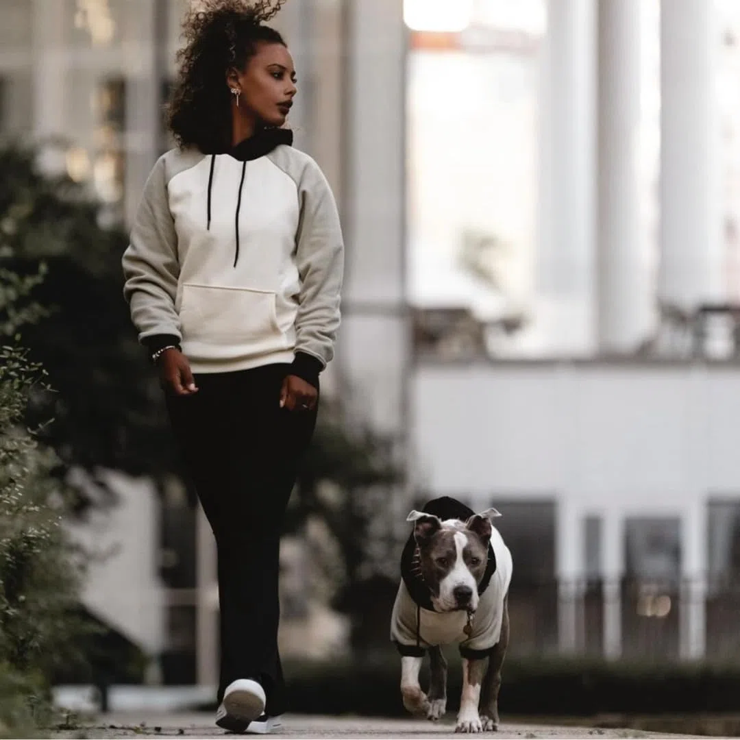Spark Paws Hunde-Kapuzenpullover – Premium-Qualität, butterweich, hervorragender Komfort und Passform, beruhigende Fleece-Innenseite, geeignet für alle Rassen - Olivencreme - XL