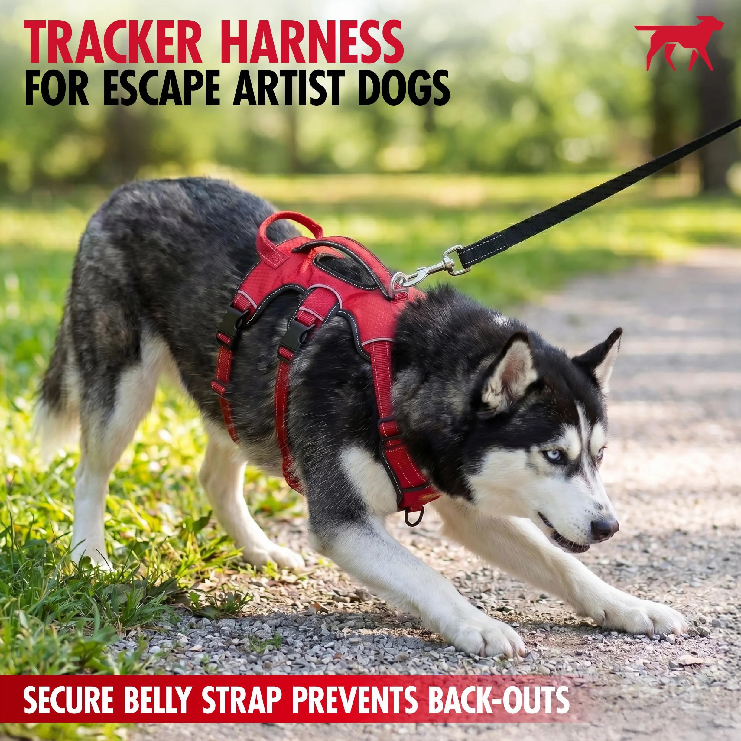 Tracker – kein Ziehen des Hundegeschirrs,Befestigungspunkte vorne und hinten,3M reflektierende Nähte erhöht die Sicherheit bei Nacht,5-Punkt-verstellbare Passform für Hunde, Large, grau