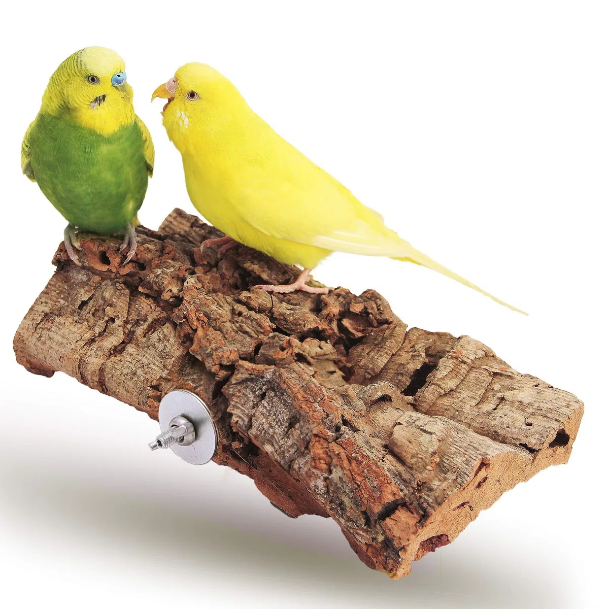 Vogelgaleria® Tolles Korksitzbrett groß für Vögel | Wellensittich Kork Sitzbrett 20x10 cm als perfektes Zubehör im Käfig | Kork Rinde ist EIN großartiges Spielzeug für Nymphensittich und Papagei