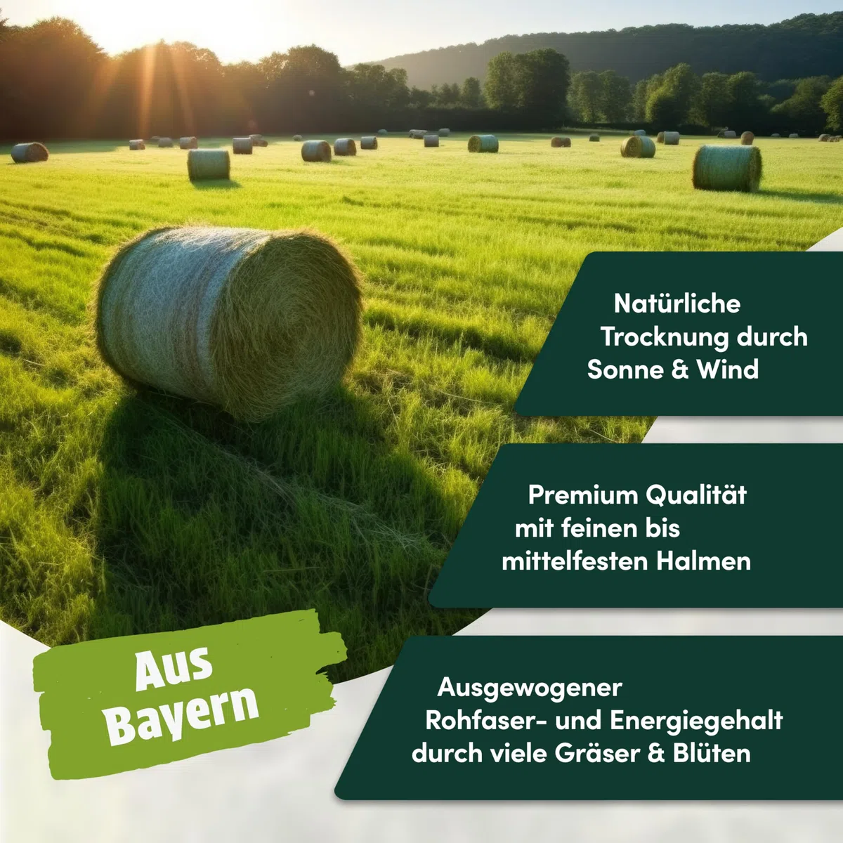 5 kg Heu direkt vom Hof | 1. Schnitt Wiesenheu aus Bayern | hochwertiges & unbehandeltes Heu für Futter & Einstreu von Kaninchen, Hamster, Meerschweinchen & Hasen