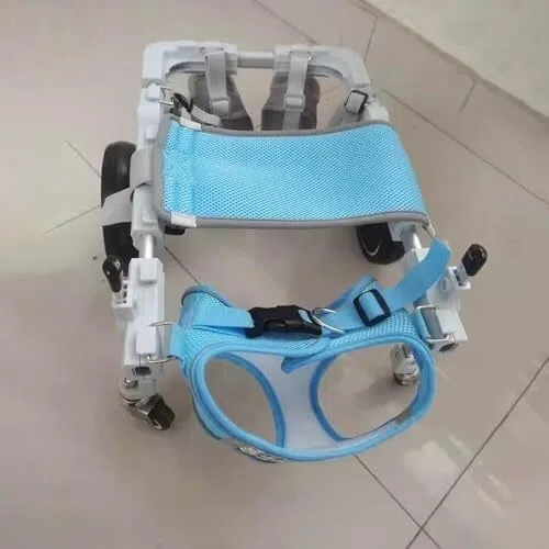 Verstellbarer Hunderollstuhl for kleine und kleine Hunde, Erholungswagen mit weicher Stütze, Haustier-Kinderwagen for verbesserte GEH- und Gehhilfe