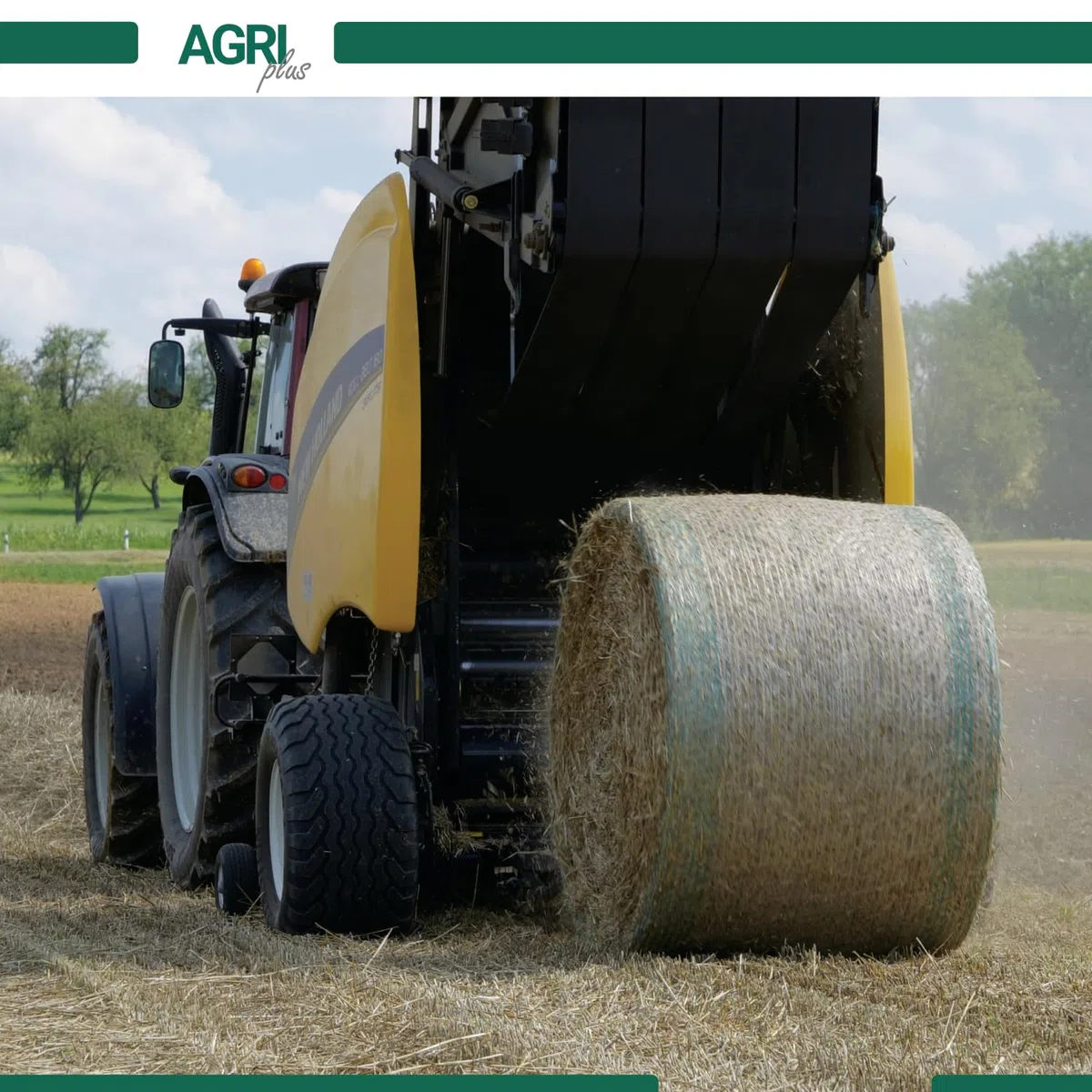 AGRIplus Wickelnetz für Rundballen | 1,23 m x 3600 m | UV-beständig und reißfest | Brennholznetz | Rundballennetz | Heunetz | Pressennetz