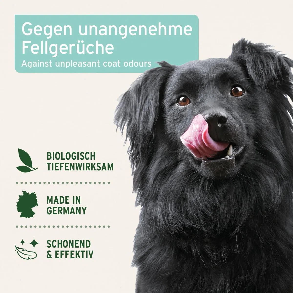 AniForte Fellgeruch-Stop Hund & Katze 200ml - Fellspray gegen Hundegeruch & Katzengeruch, Natürlicher Geruchsneutralisierer für Langhaar & Kurzhaar, Geruchsentferner bei Tiergerüchen