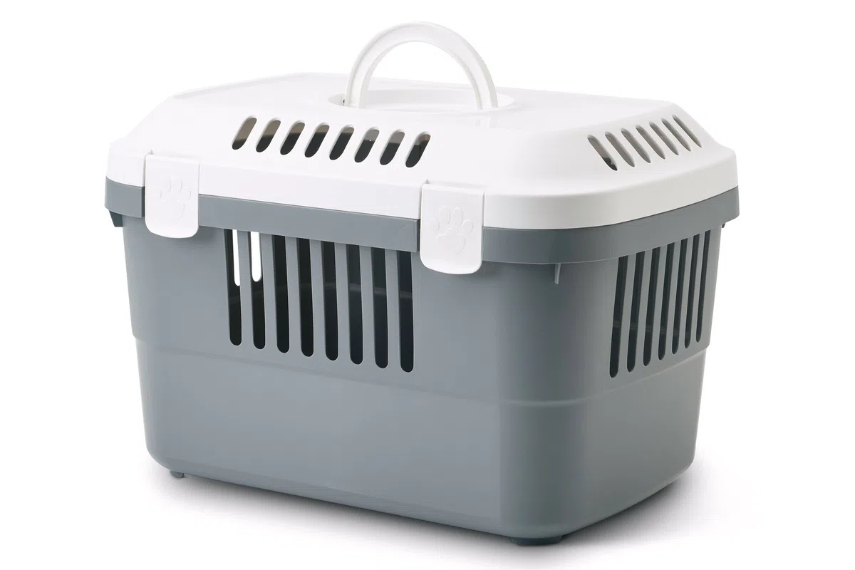 Transportbox Discovery 1 grau 48,5 x 33 x 31,5 cm