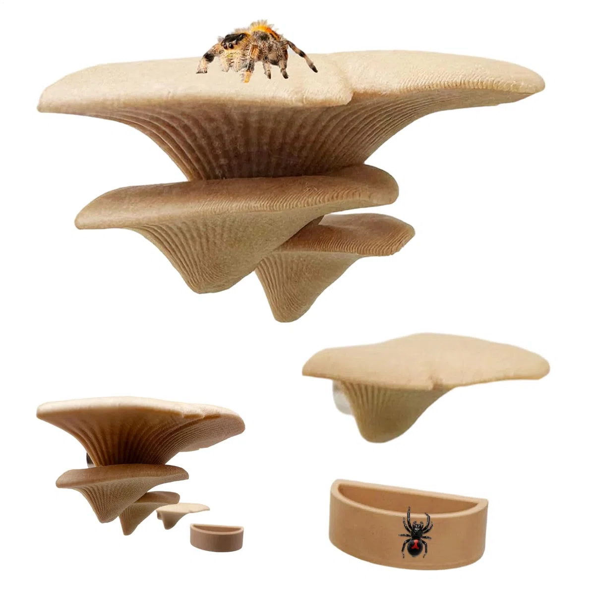 Springspinnen Terrarium Deko,Magnetisches Natürliches Pilz Spielzeug Mit Wassernapf,Springspinne Terrarium Zubehör - für Unterwegs Reisen Spaziergang Garten Park