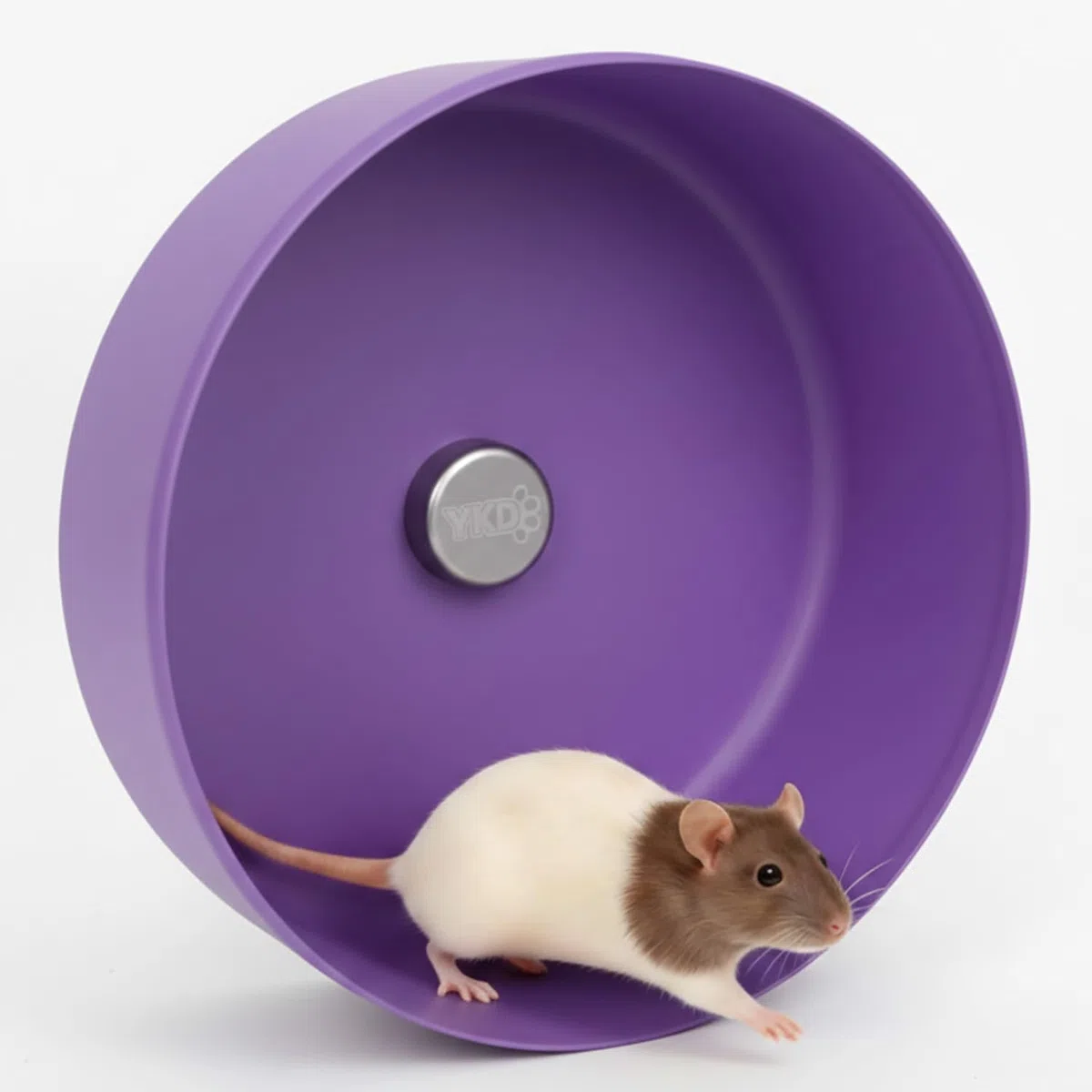Geräuschloses Laufrad für Ratten, 30 cm, Aluminiumlegierung, geräuschloses Laufrad für ausgefallene Ratten, syrische Hamster, Igel und kleine Haustiere (Halterung-Lila)