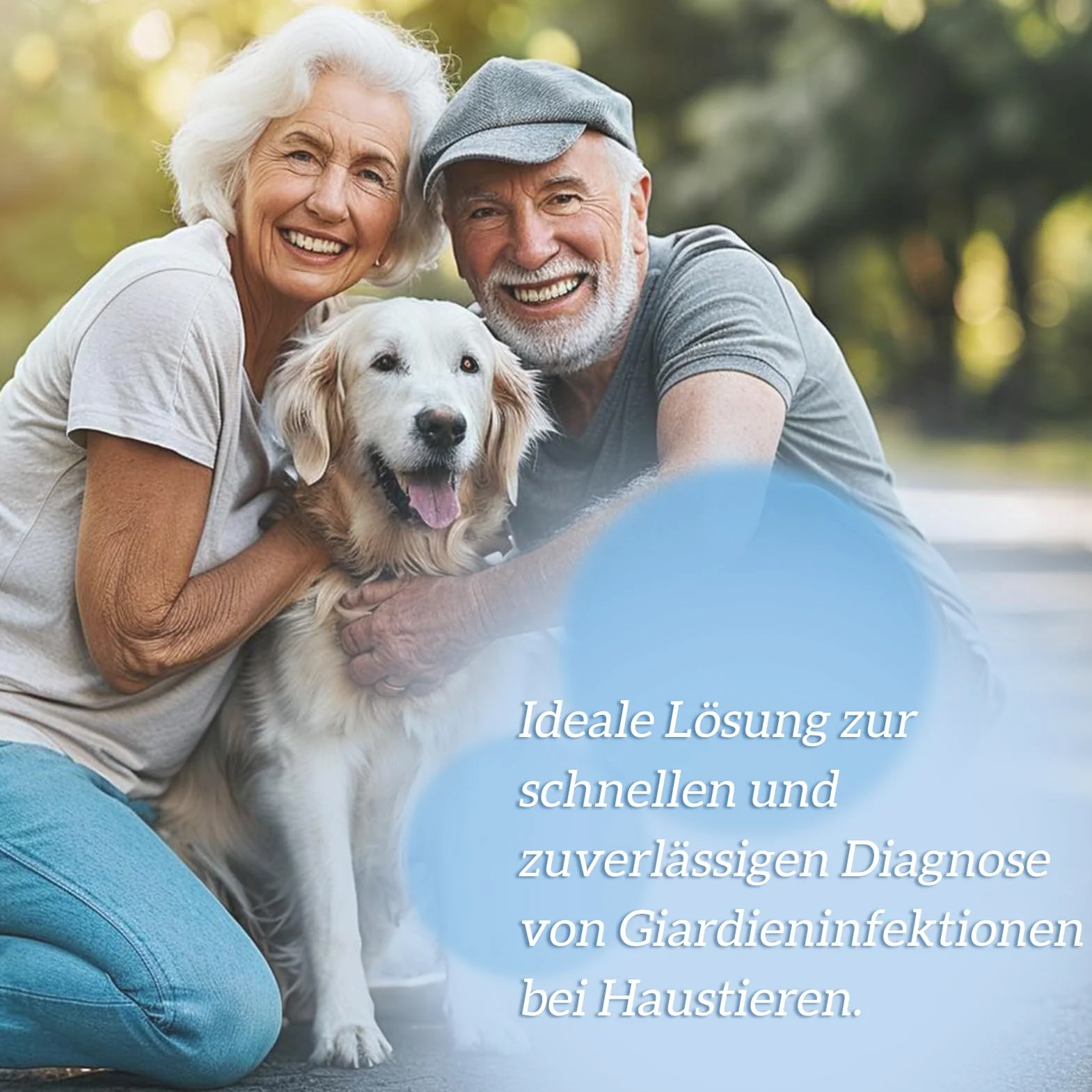 Giardien Schnelltest für Hund & Katze, 4 Tests Für Hunde & Katzen bei Giardia