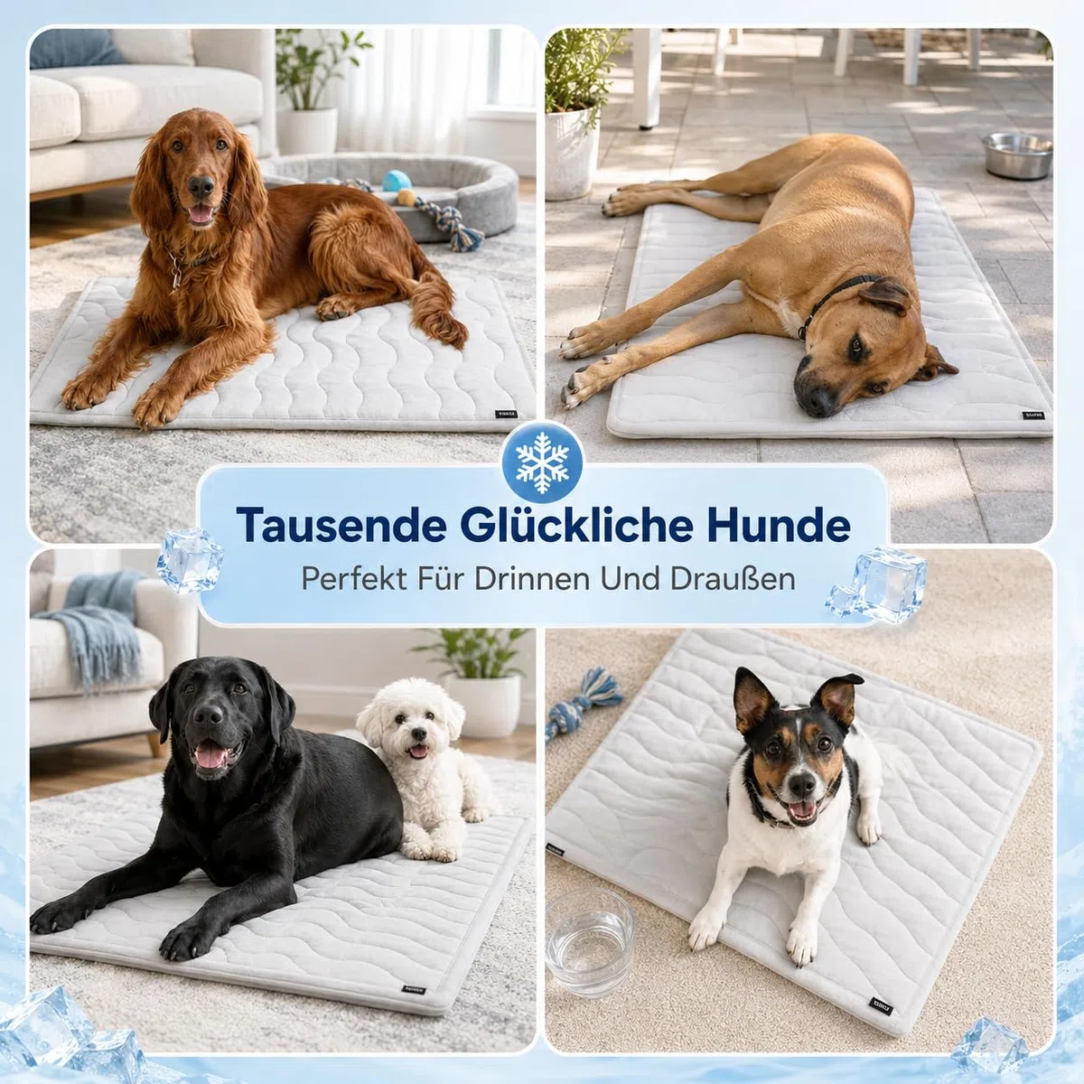 Dr Pfoten Pfotenchill Kühlmatte Hund Kühlmatte Haustier Matte Kühlunterlage Für Hunde XL Komfort Kühl Liegefläche Sommer Zuhause Auto (M(90 * 60cm))