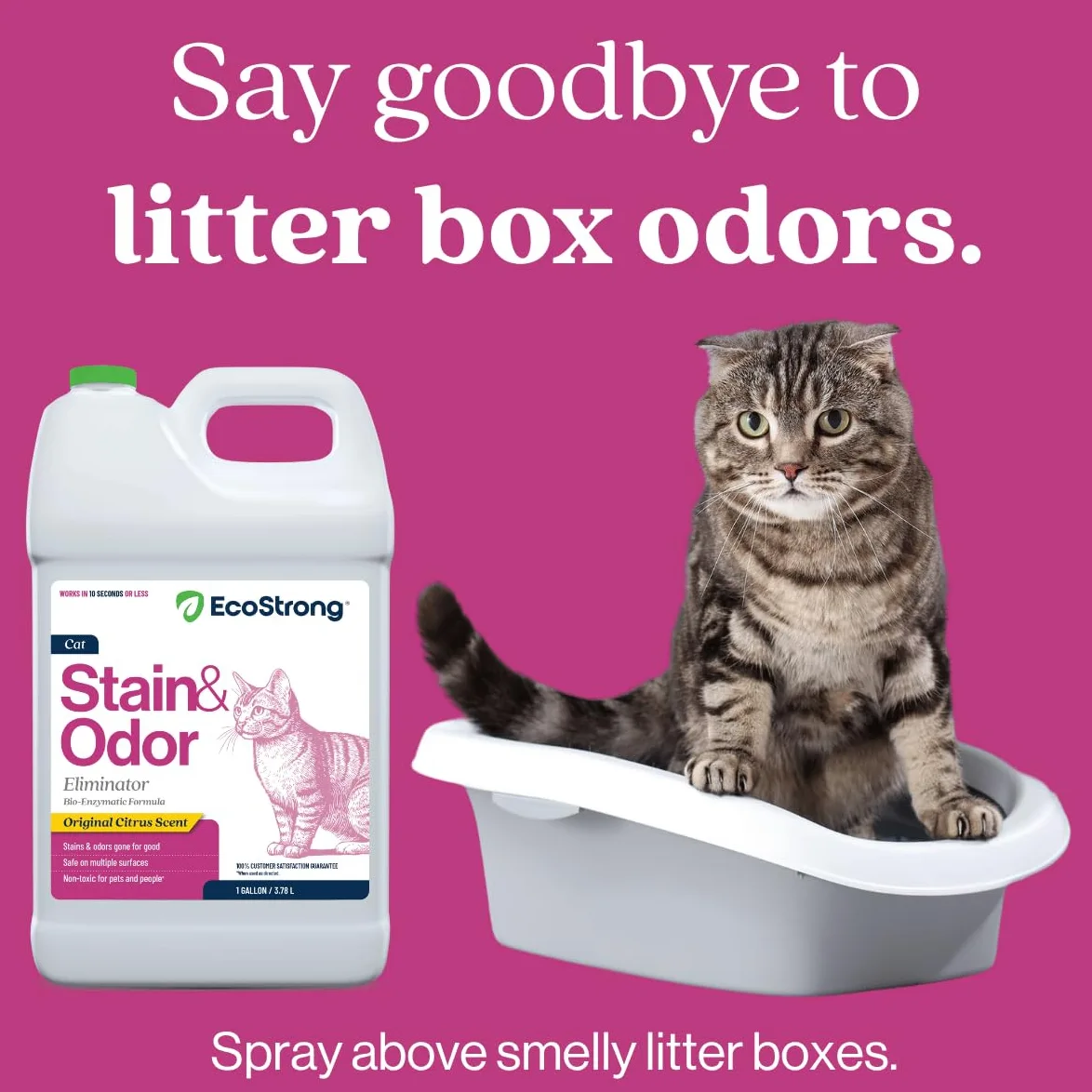 Cat Stain and Odor Remover| Enzyme Urine Odor Neutralizer - Stain Remover for Carpet, Litter Boxes, Bedding, and Laundry [Citrus Scent Gallon Value Size]
