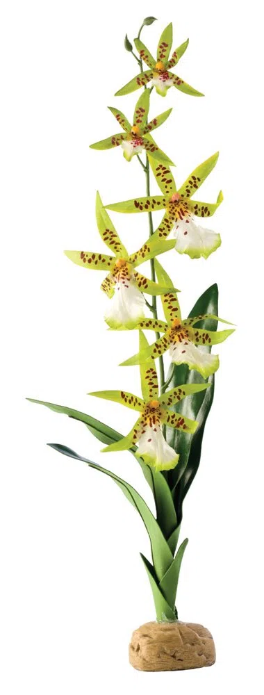 Exo Terra Spinnen Orchidee, künstliche naturgetreue Pflanze für Terrarien, ideal für Regenwaldterrarien