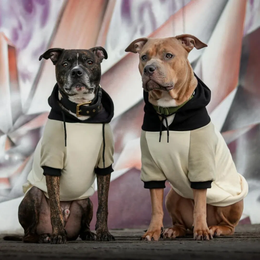 Spark Paws Hunde-Kapuzenpullover – Premium-Qualität, butterweich, hervorragender Komfort und Passform, beruhigende Fleece-Innenseite, geeignet für alle Rassen - Olivencreme - XL