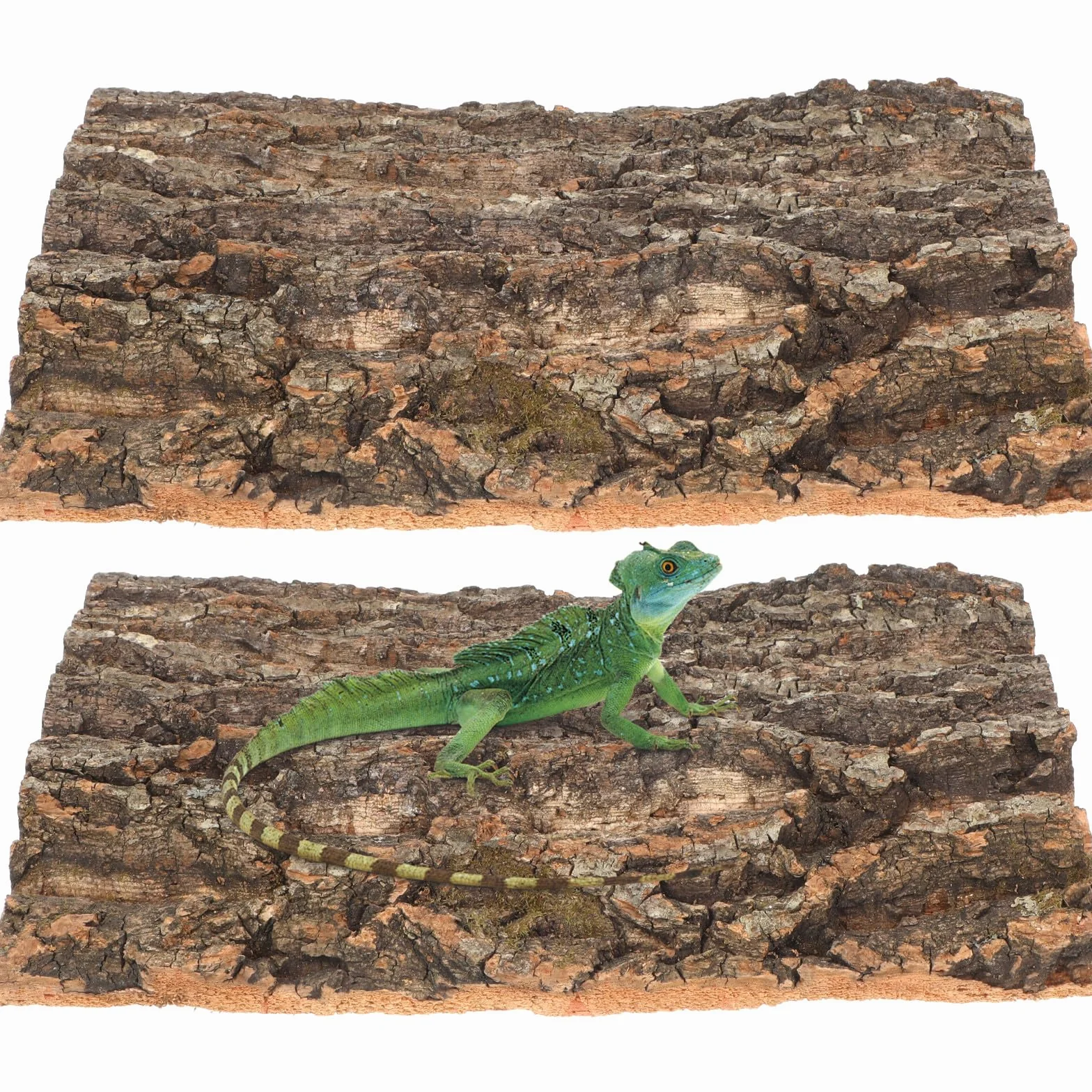 SEWACC 2er-Pack Kletterplattform aus Reptilienrinde, Terrariendekoration aus Schildkrötenbaumrinde mit Schlangenversteck, Kletterregal für Reptilien