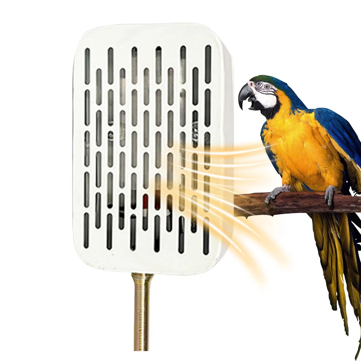 Vogelkäfig-Heizung – Beleuchtung, Vogellampe simuliert natürliche Umgebung, Vogelkäfig, kausicherer Metalldraht, Vogel-Heizung | Schnelles Erhitzen für Papageien, kleine Vögel, Reptilien, Schildkröten