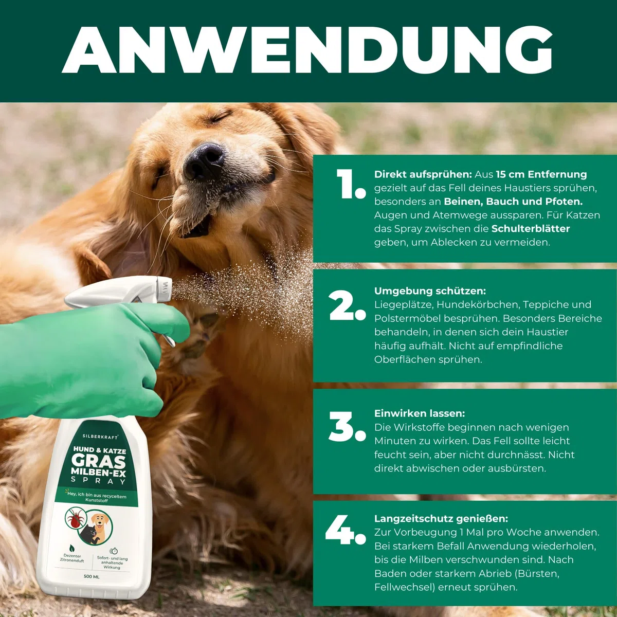 Silberkraft Grasmilben Ex Spray 500ml - Anti Grasmilben Spray für Hund Katze - Grasmilbenbefall behandeln Herbstgrasmilben Erntemilben