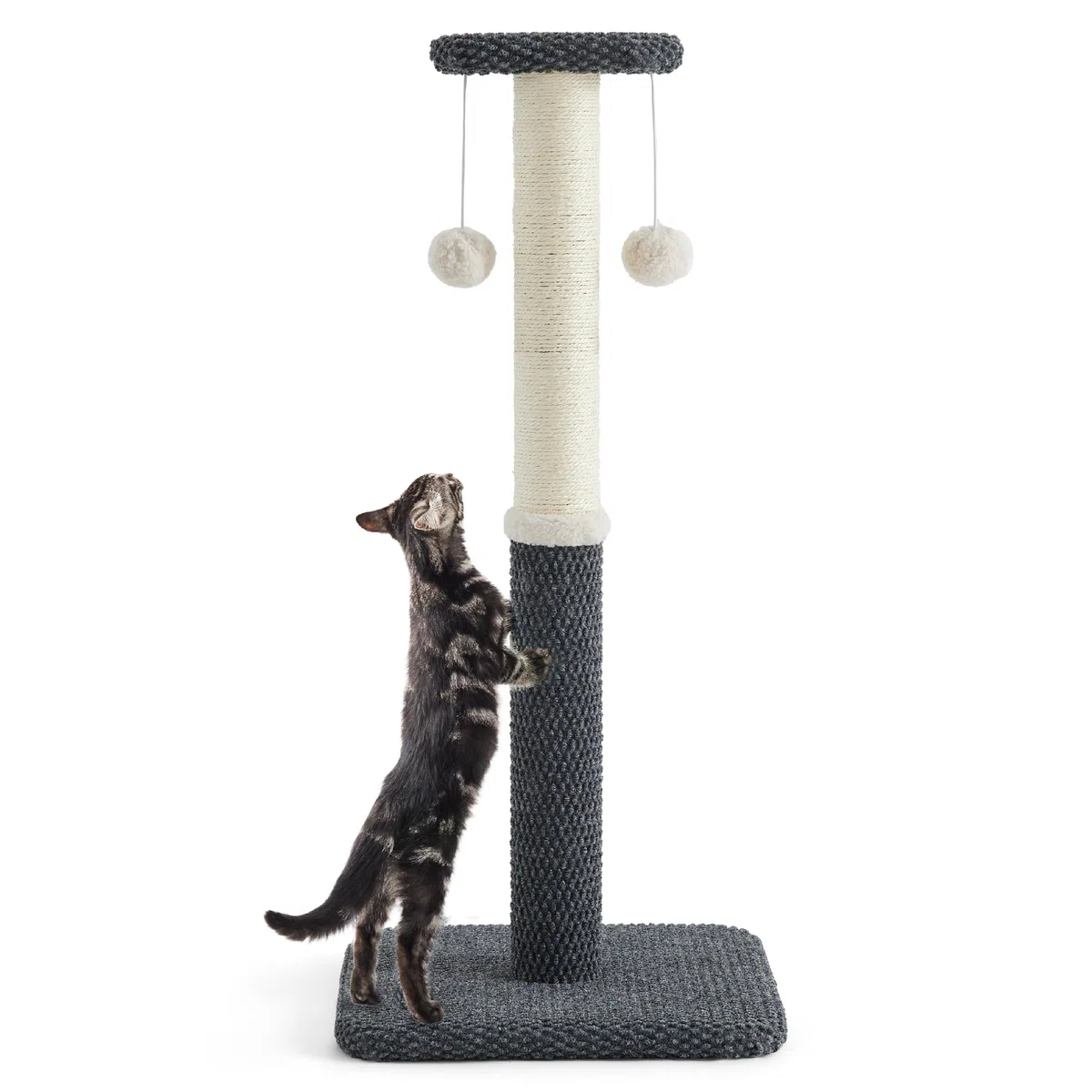 Lesure Indoor Kratzstamm groß Katzen – 86 cm Kratzsäule für Katzen mit Plattform aus strapazierfähiger Teppichstoff, Kratzbaum Grosse stabil mit Sisal und hängendem Ball, dunkelgrau
