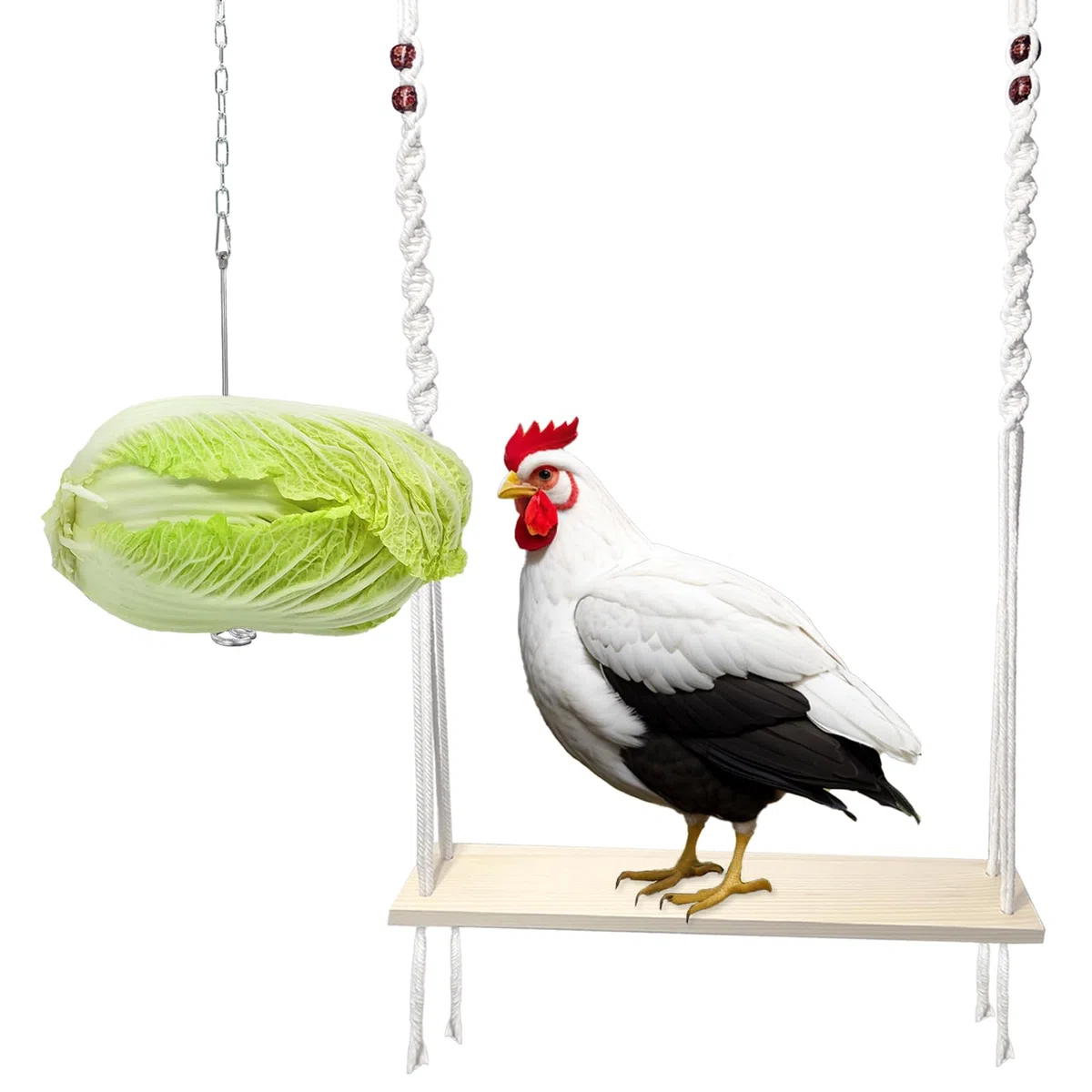 Hühnerschaukelspielzeug und hängender Hühnerfutterhalter mit Kette und Haken für große Hühnerkäfige, Zubehör für Hühnerkäfige, Hühnerliebhaber und Besitzer