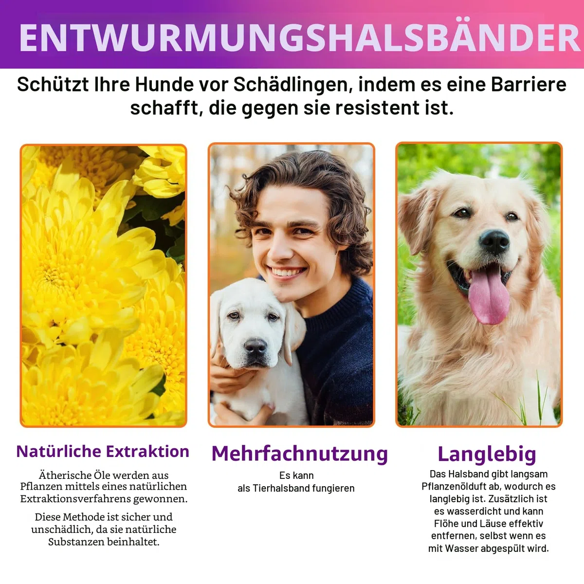 Zeckenhalsband für Hunde 4 Stück, Zecken-Flohschutz Halsband für Hunde, Verstellbar Flohhalsband für Hunde 60 cm, 24 Monate wirksamer Schutz gegen Zecken Und Flöhen | Wasserfest