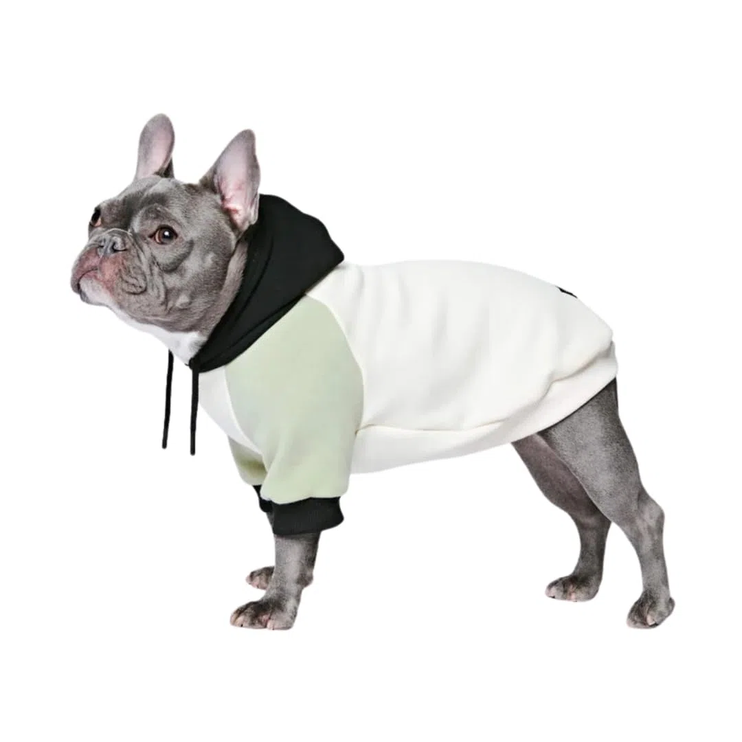 Spark Paws Hunde-Kapuzenpullover – Premium-Qualität, butterweich, hervorragender Komfort und Passform, beruhigende Fleece-Innenseite, geeignet für alle Rassen - Olivencreme - XL