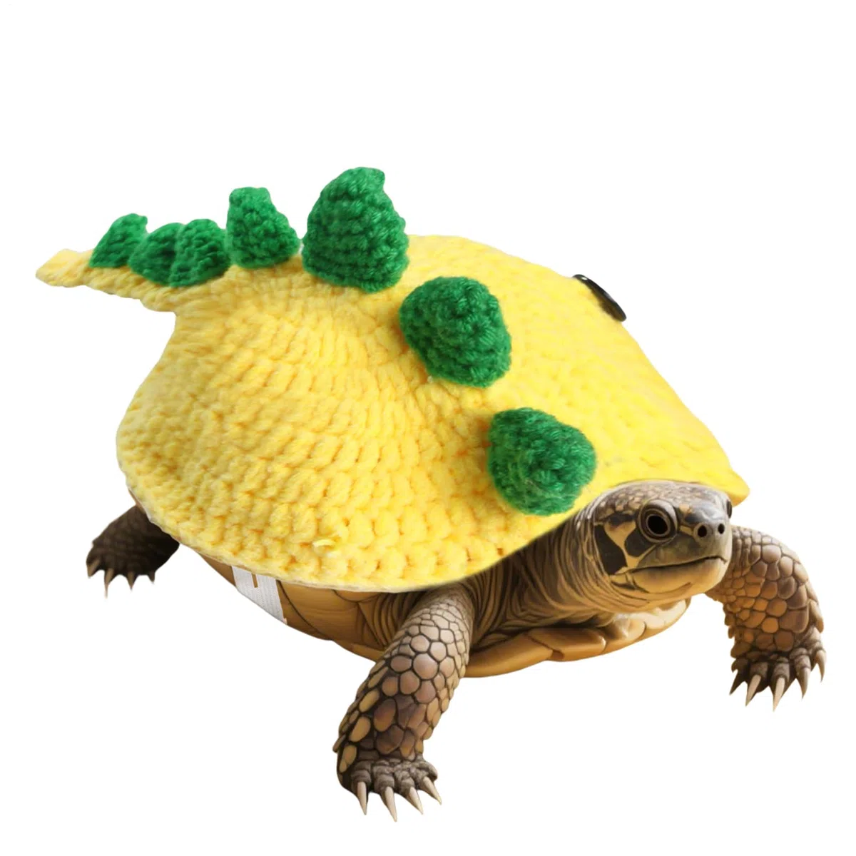 Schildkrötenpullover, verstellbarer Riemen, Dinosaurier-Design, Kostüm, Kleintierpullover, weiches Material, für Cosplay, Party, Fotos, Veranstaltungen, kleine Haustiere und Haustierveranstaltungen
