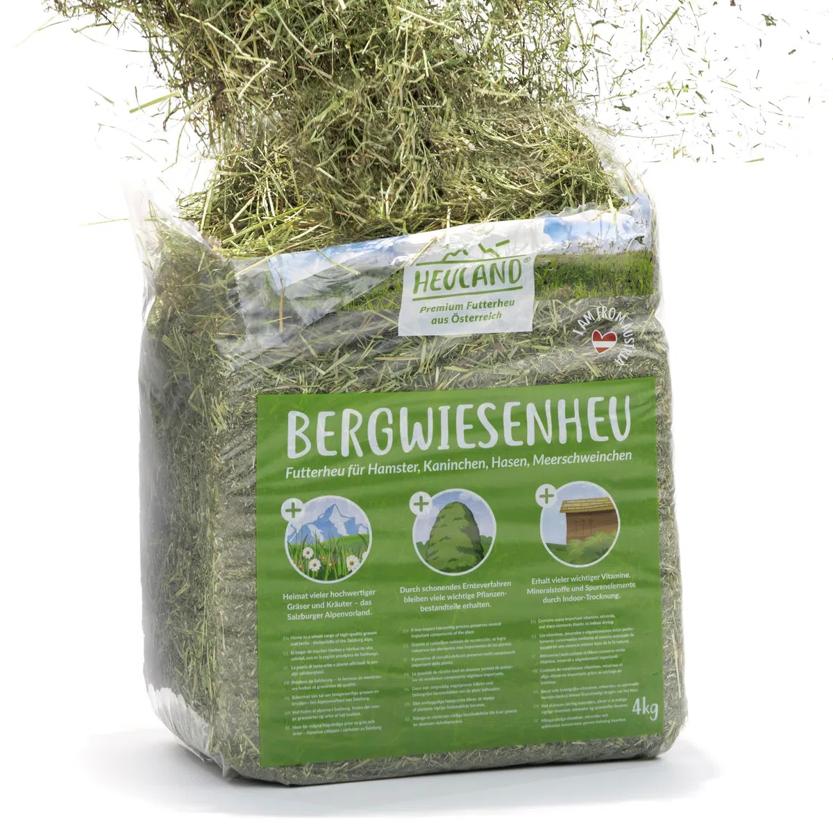 Premium Heu (1 x 4 Kg) Frisches Bergwiesenheu für Kleintiere Kaninchen Kräuter Hamster Streu Meerschweinchen Futter für Nager Chinchilla Zwergkaninchen Hasen Zwerghamster (4 Kilo)