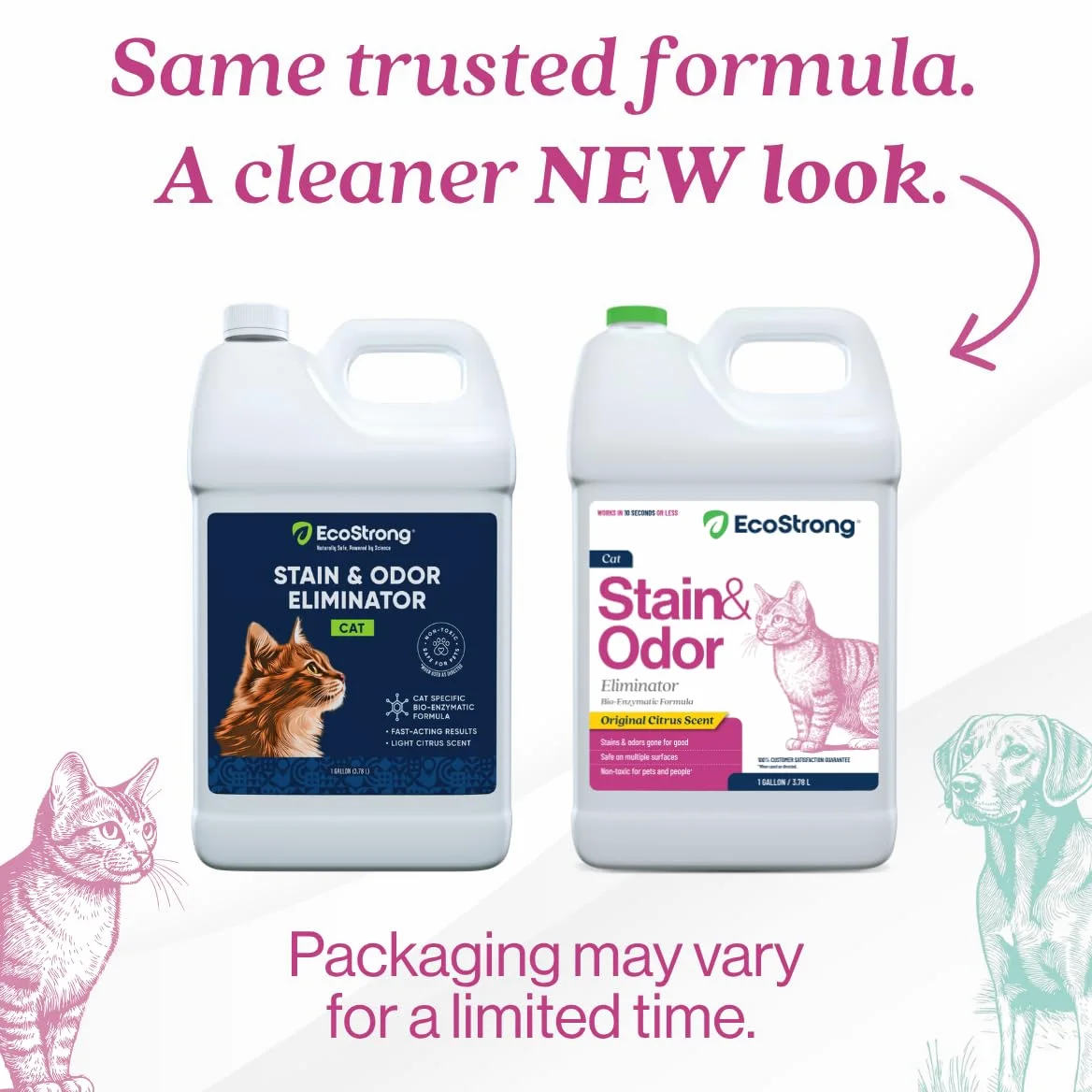 Cat Stain and Odor Remover| Enzyme Urine Odor Neutralizer - Stain Remover for Carpet, Litter Boxes, Bedding, and Laundry [Citrus Scent Gallon Value Size]