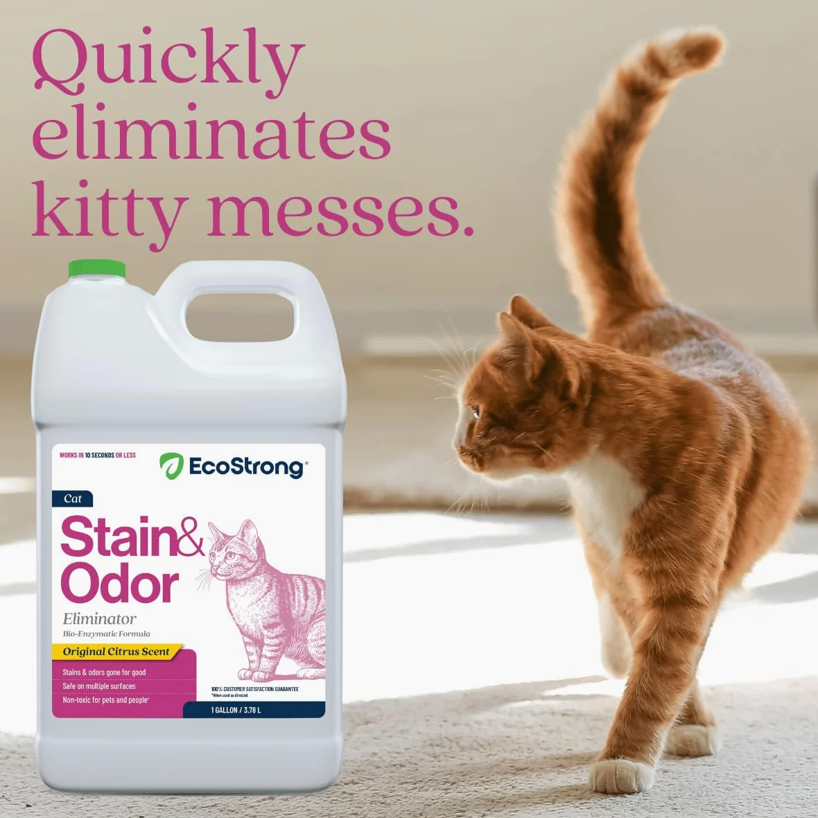 Cat Stain and Odor Remover| Enzyme Urine Odor Neutralizer - Stain Remover for Carpet, Litter Boxes, Bedding, and Laundry [Citrus Scent Gallon Value Size]
