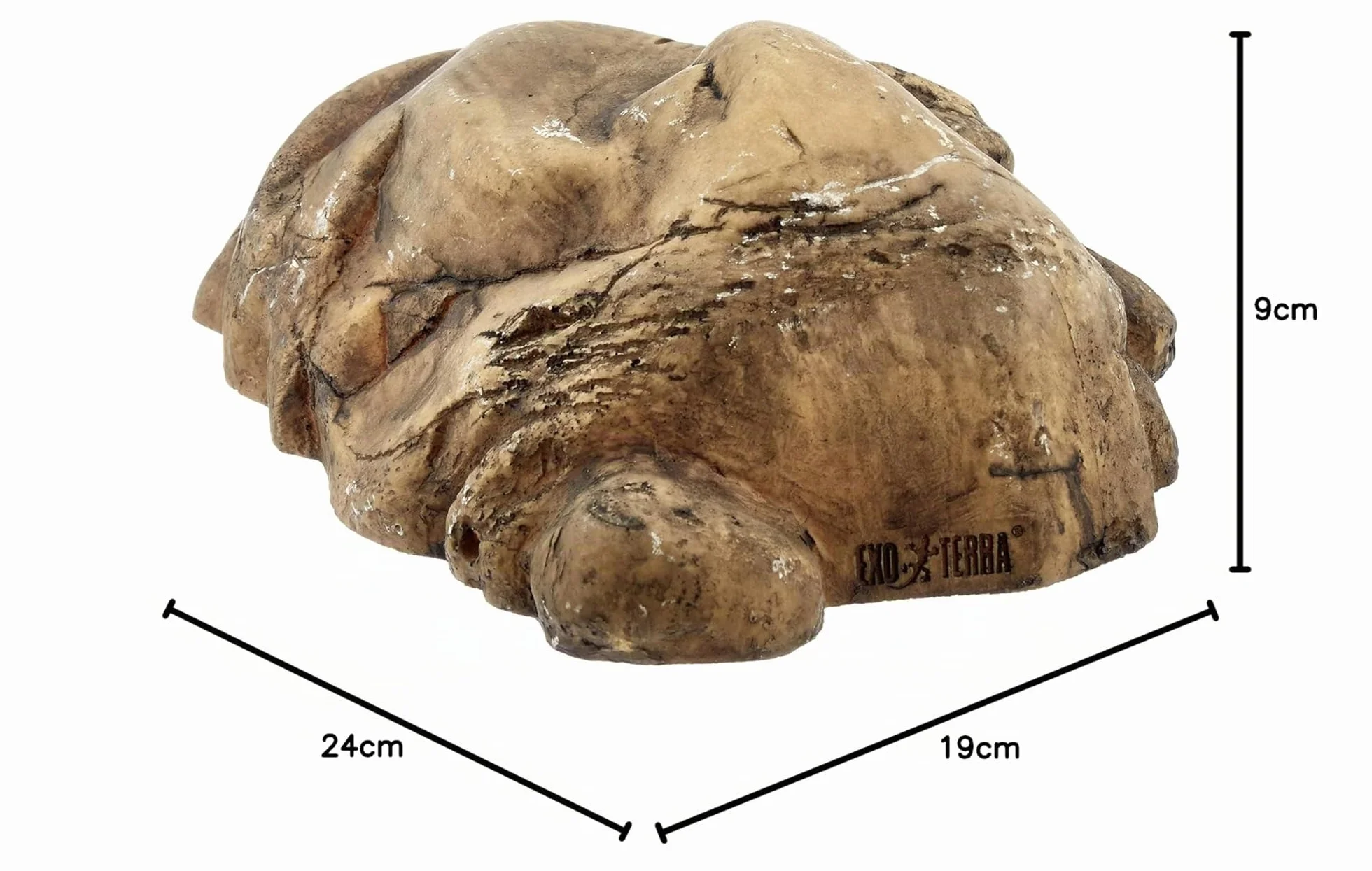 Exo Terra Reptile Cave, sicheres Versteck für Reptilien und Amphibien, L