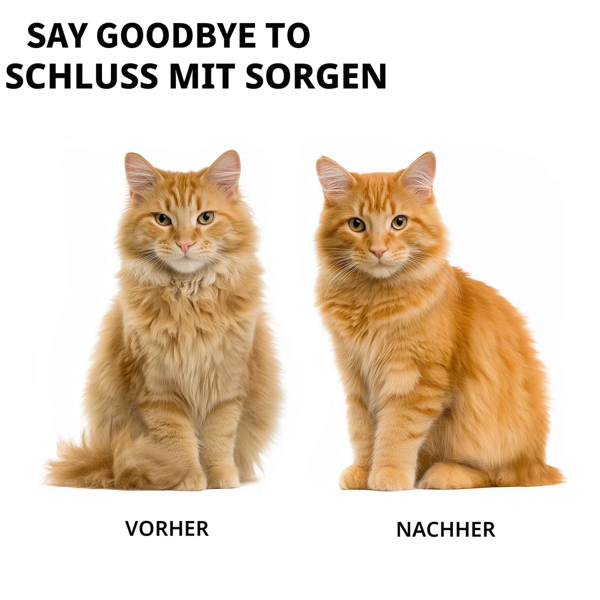 Hundebürste und Katzenbürste, Schwarz | Shedding Blade für Kurzhaar, Mittelfell, Fellwechsel, lose Haare und Unterwolle bei Hunden und Katzen