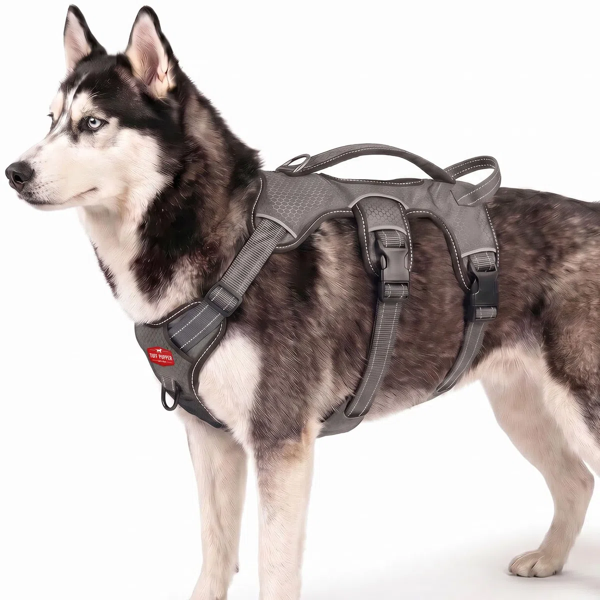 Tracker – kein Ziehen des Hundegeschirrs,Befestigungspunkte vorne und hinten,3M reflektierende Nähte erhöht die Sicherheit bei Nacht,5-Punkt-verstellbare Passform für Hunde, Large, grau