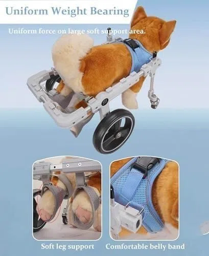 Verstellbarer Hunderollstuhl for kleine und kleine Hunde, Erholungswagen mit weicher Stütze, Haustier-Kinderwagen for verbesserte GEH- und Gehhilfe