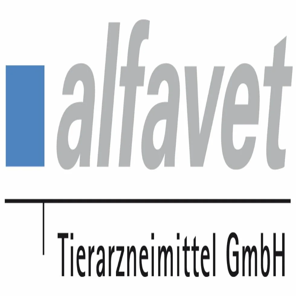 Alfavet Nausi Tab schont den Magen in Stresssituation, Kautablette mit Ingwer für Hunde, Ergänzungsfuttermittel, 110g Dose mit ca. 20 Snacks