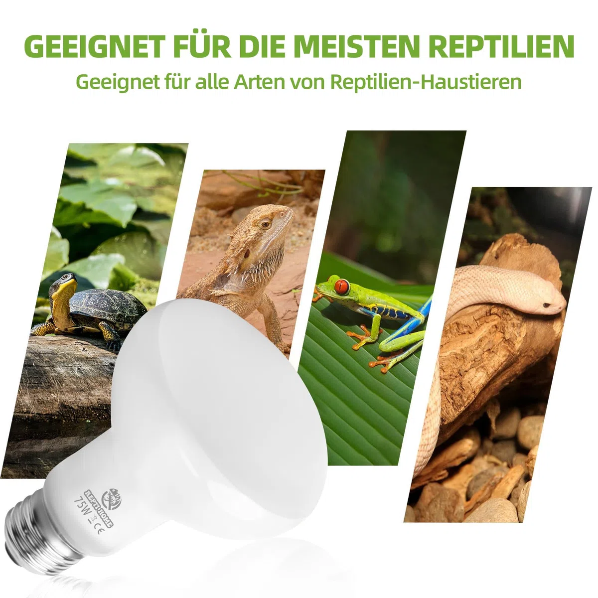 Reptilien Wärmelampe Terrarium 50W 2stück, E27 Intense Basking Spot Lampe Terrarium, Wärmelampe tiere Heizung für Schildkröten, Bartagame, Schlange, Huhn, Hund