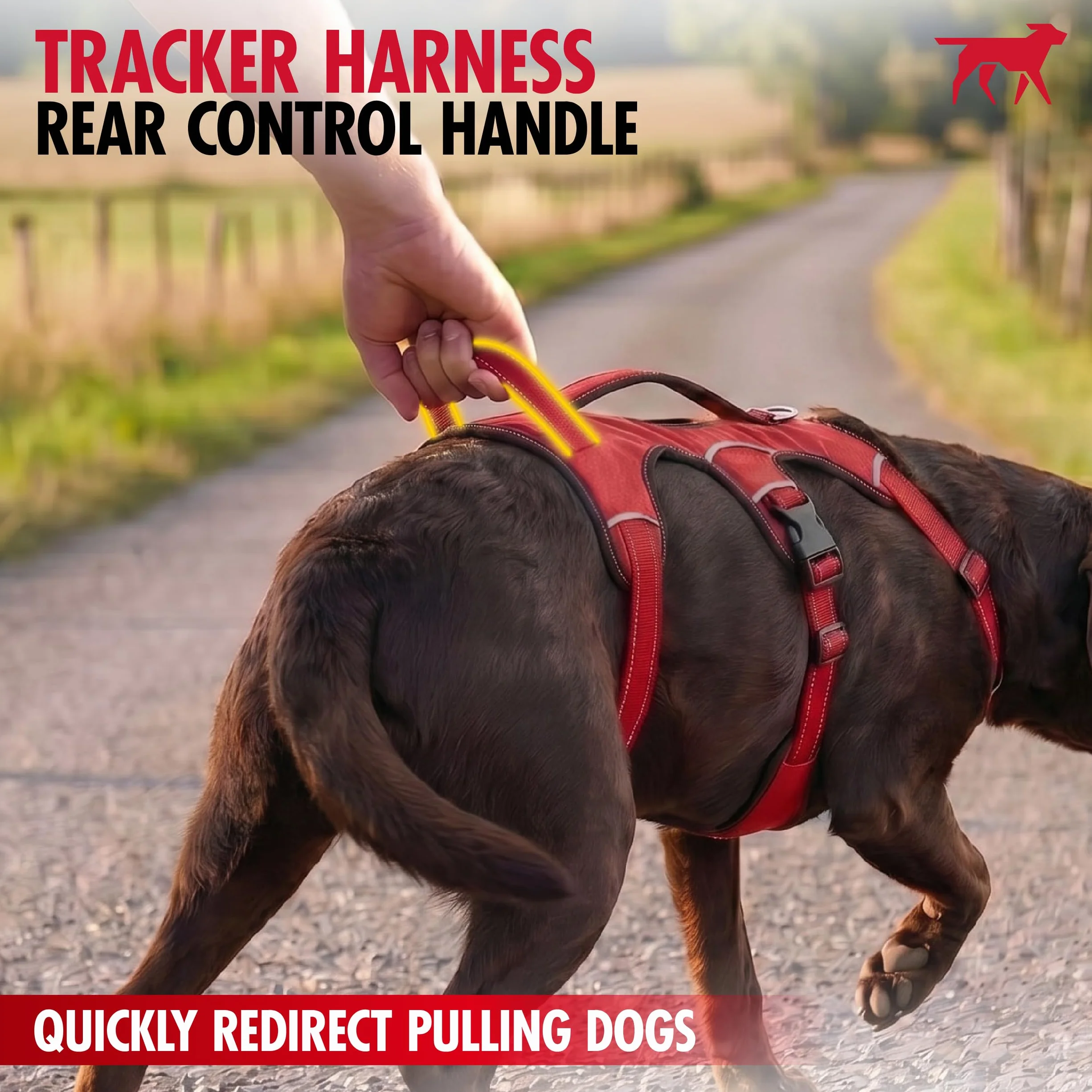 Tracker – kein Ziehen des Hundegeschirrs,Befestigungspunkte vorne und hinten,3M reflektierende Nähte erhöht die Sicherheit bei Nacht,5-Punkt-verstellbare Passform für Hunde, Large, grau