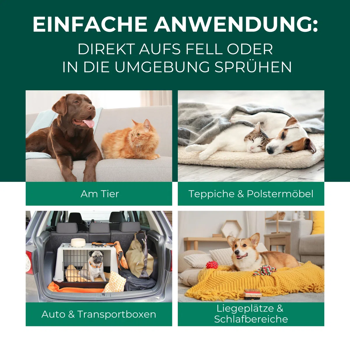 Silberkraft Grasmilben Ex Spray 500ml - Anti Grasmilben Spray für Hund Katze - Grasmilbenbefall behandeln Herbstgrasmilben Erntemilben