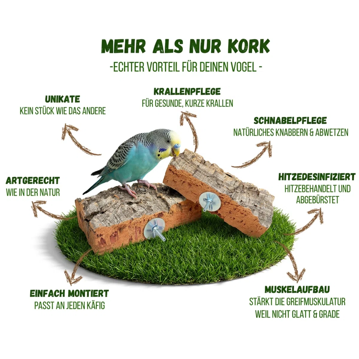 2 STÜCK 20x10cm Korksitzbrett Wellensittich Zubehör - Spielzeug - Zubehör im Vogelkäfig fördert Krallen & Schnabelpflege mit Befestigung ohne Werkzeug. Vogelspielzeug aus Kork