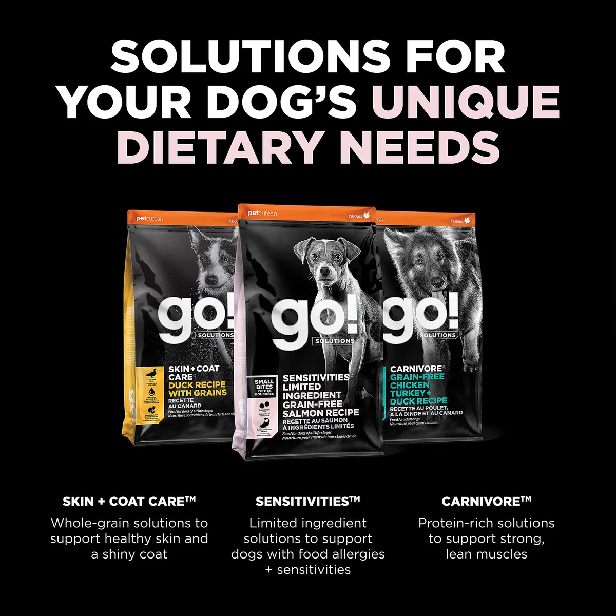 Go! Solutions Sensitivities Limited Ingredients, Getreidefreies Trockenfutter für Hunde, kleine Bissen Lachs Rezept für empfindlichen Magen, 10 kg Beutel
