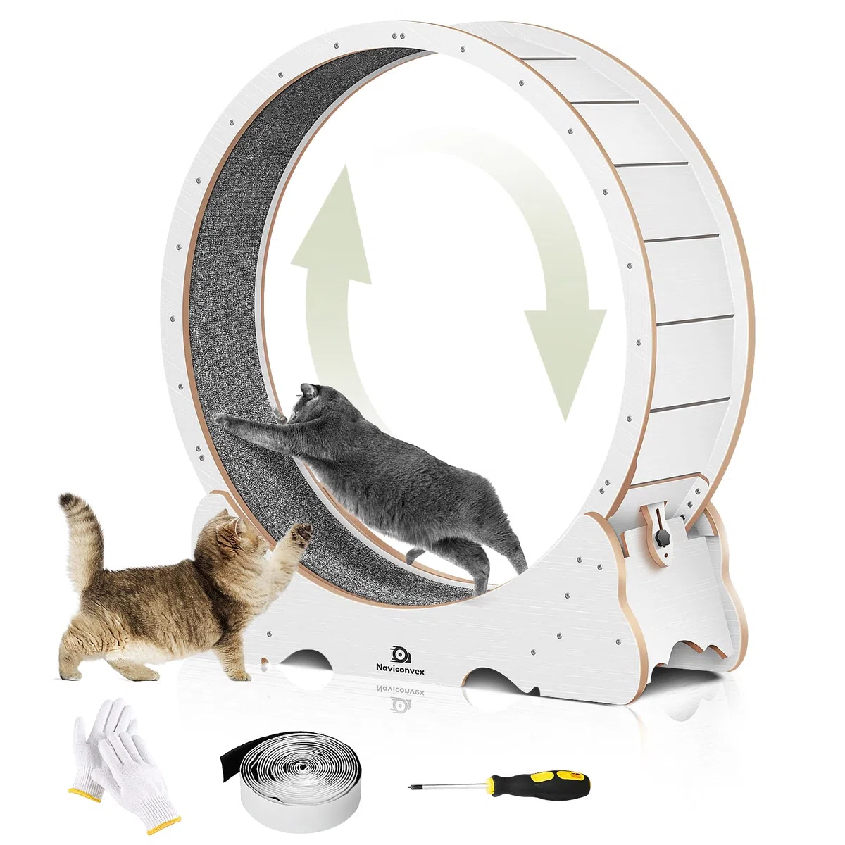Laufband für Katzen, Laufrad für Indoor-Katzen, tägliche Übung, Katzenrad, Trainingsgerät für Katzen