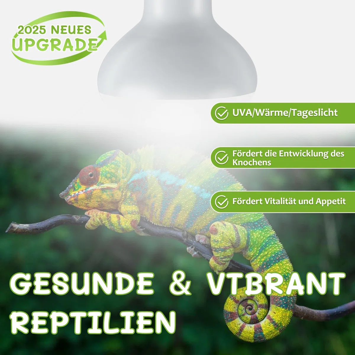 Reptilien Wärmelampe Terrarium 50W 2stück, E27 Intense Basking Spot Lampe Terrarium, Wärmelampe tiere Heizung für Schildkröten, Bartagame, Schlange, Huhn, Hund
