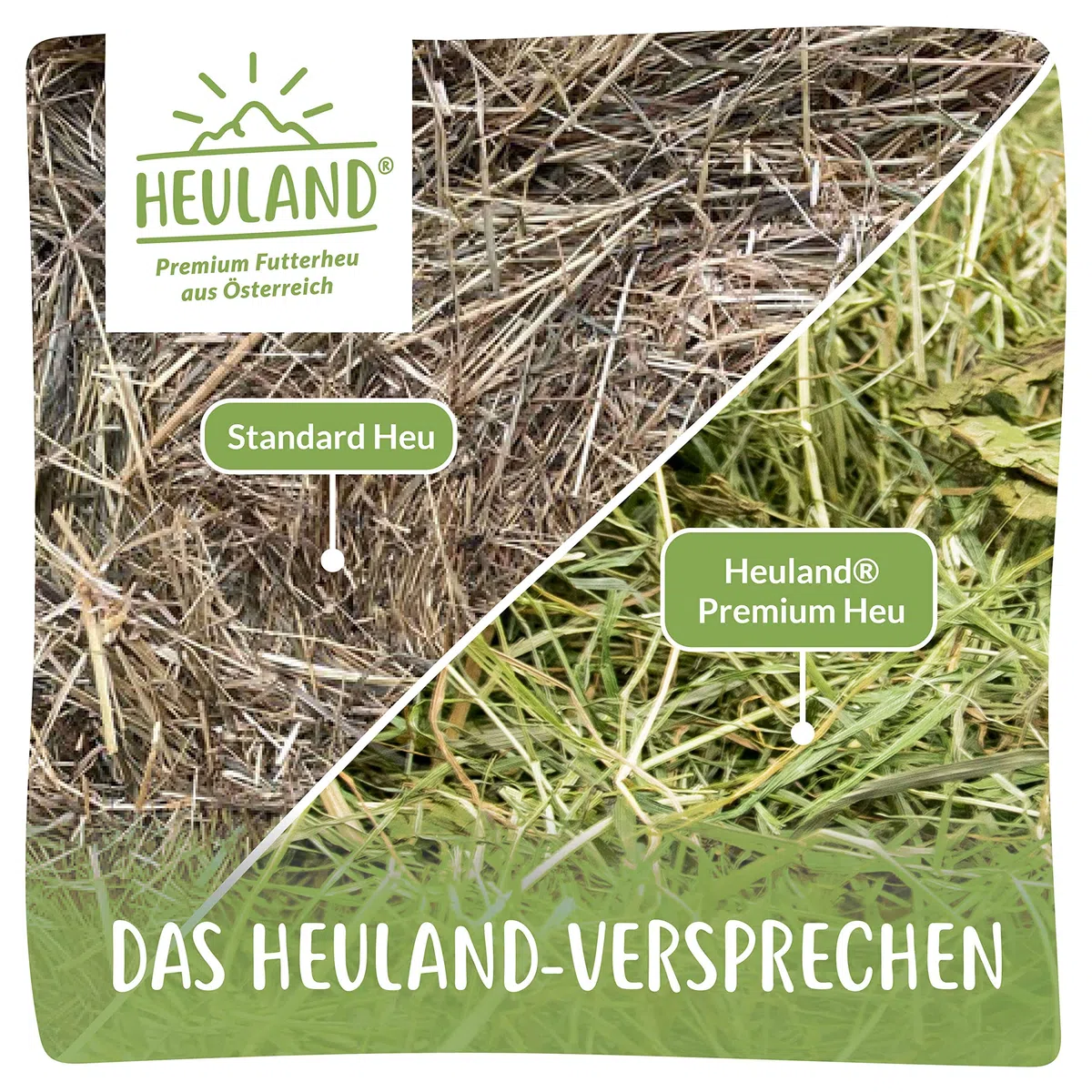 Premium Heu (1 x 4 Kg) Frisches Bergwiesenheu für Kleintiere Kaninchen Kräuter Hamster Streu Meerschweinchen Futter für Nager Chinchilla Zwergkaninchen Hasen Zwerghamster (4 Kilo)