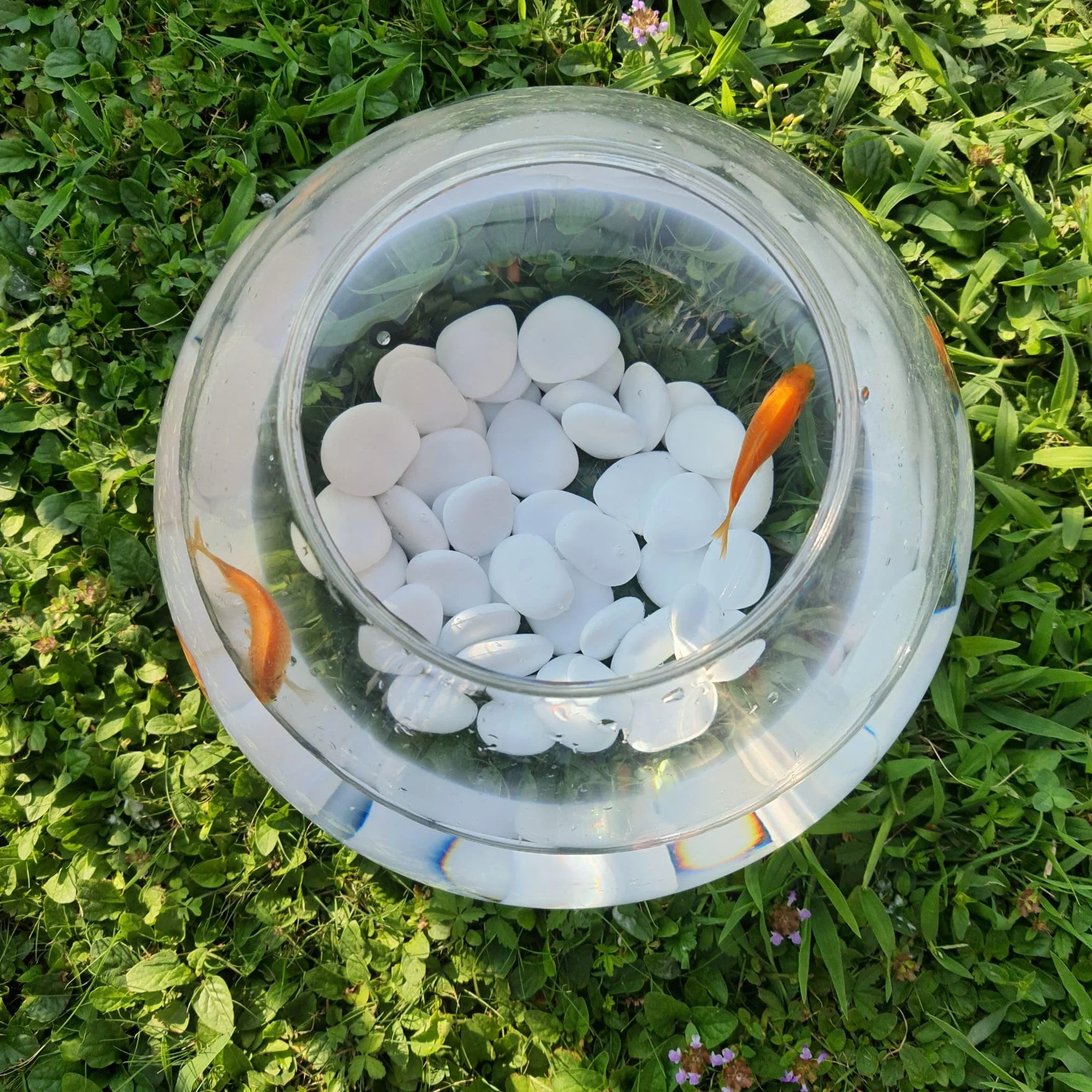 Kalapanta - Dekosteine ​​aus recyceltem Kunststoff für Vasen, Malerei, Aquarien, Haus, Garten (Größe S Ø 2-5 cm, etwa 75 Stück, Weiß)